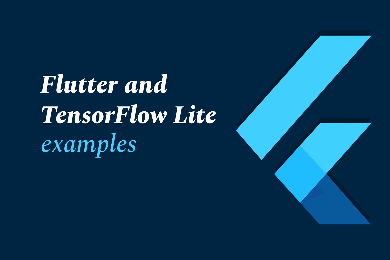 Flutter Training